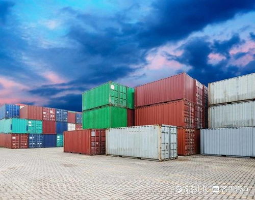 东营经济技术开发区严抓进口非冷链集装箱防控与普通货物仓储服务保畅